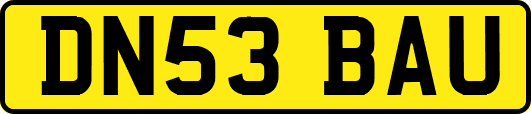 DN53BAU