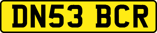 DN53BCR