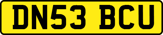 DN53BCU