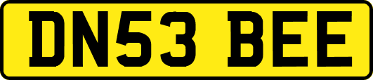 DN53BEE