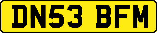DN53BFM