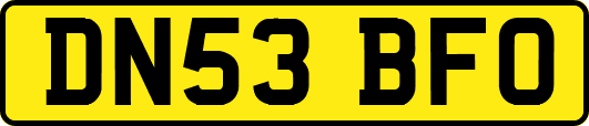 DN53BFO