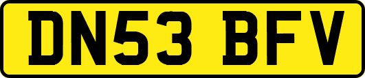 DN53BFV