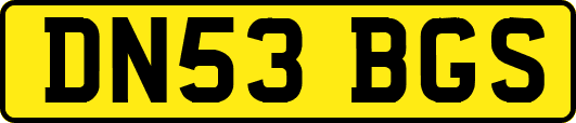 DN53BGS