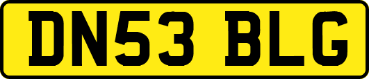 DN53BLG