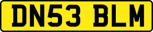DN53BLM