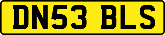 DN53BLS