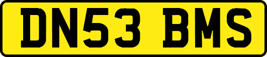 DN53BMS