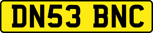 DN53BNC
