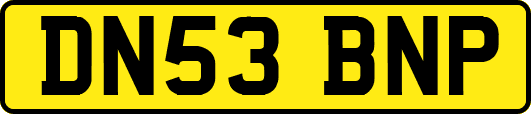 DN53BNP