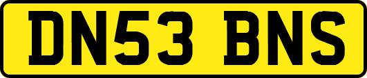DN53BNS