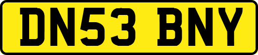 DN53BNY