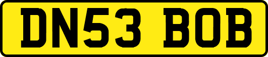 DN53BOB