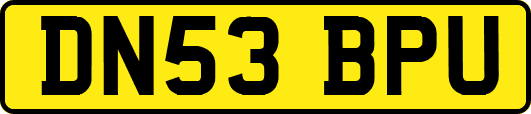 DN53BPU