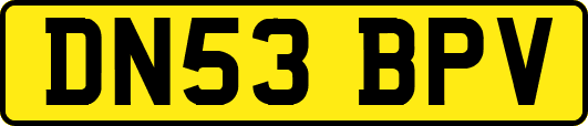 DN53BPV