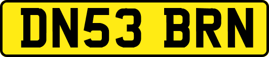 DN53BRN