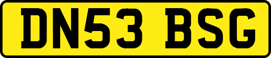 DN53BSG