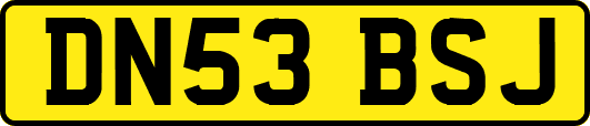 DN53BSJ