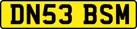 DN53BSM