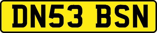 DN53BSN
