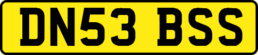 DN53BSS