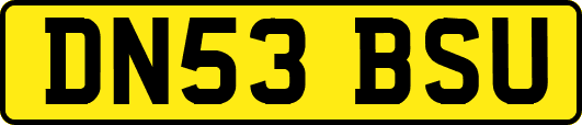 DN53BSU