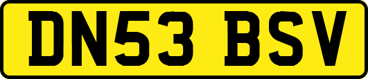 DN53BSV
