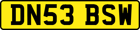 DN53BSW