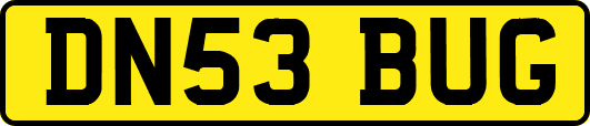 DN53BUG