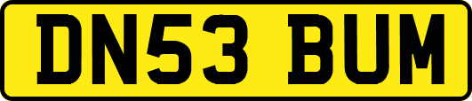 DN53BUM
