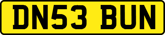 DN53BUN