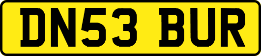 DN53BUR