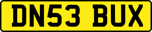 DN53BUX