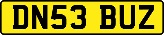 DN53BUZ
