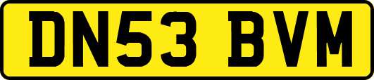 DN53BVM