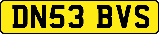 DN53BVS