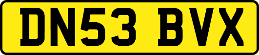 DN53BVX