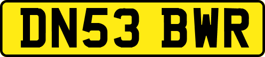 DN53BWR