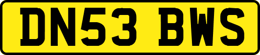 DN53BWS