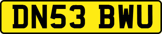 DN53BWU