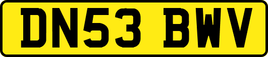 DN53BWV