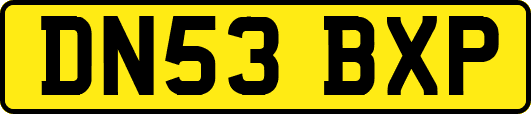 DN53BXP