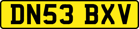 DN53BXV