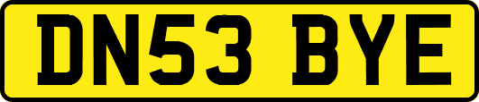 DN53BYE