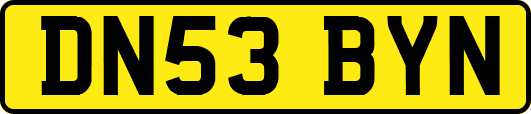 DN53BYN
