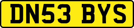 DN53BYS
