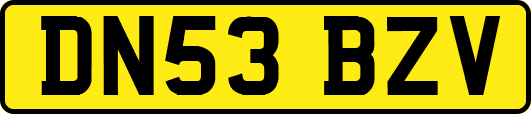 DN53BZV