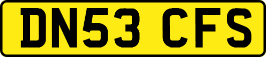 DN53CFS