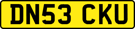 DN53CKU