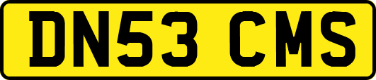 DN53CMS